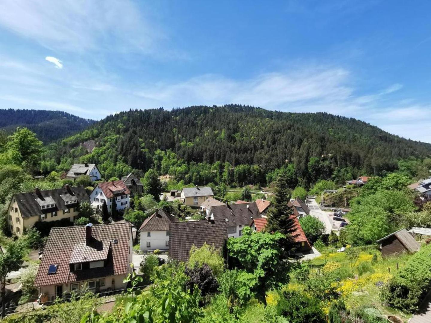 Ferienwohnung Am Rubersbach Hornberg Zewnętrze zdjęcie