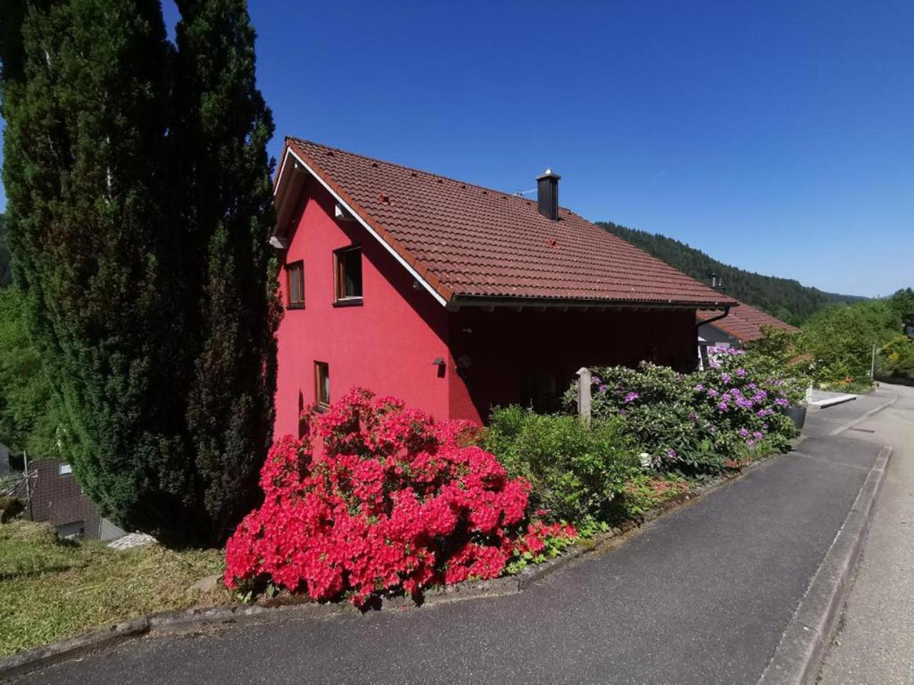 Ferienwohnung Am Rubersbach Hornberg Zewnętrze zdjęcie